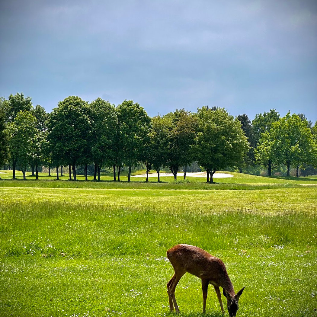 Golf des Yvelines 1